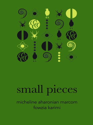 cover image of small pieces